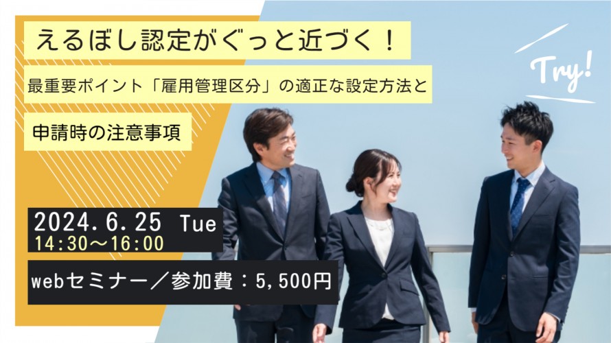 えるぼし認定がぐっと近づく！最重要ポイント「雇用管理区分」の適正な設定方法と申請時の注意事項